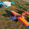 Sommernachtsfliegen